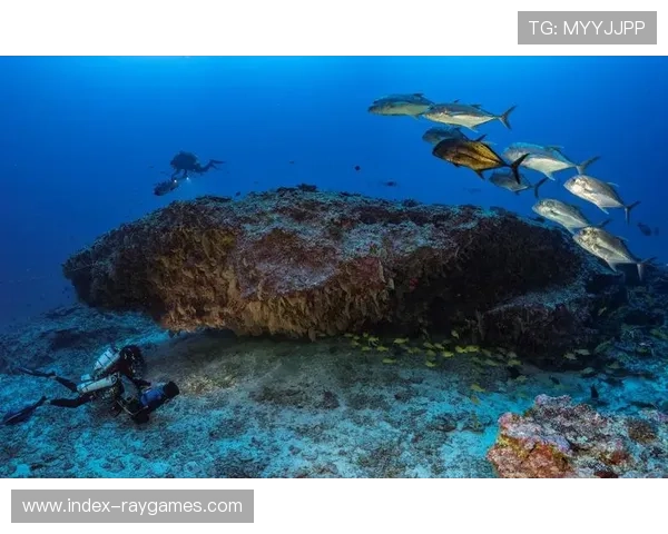 智能手机水下摄影电影节开幕 潜水品牌鼎力赞助最佳纪录片奖项